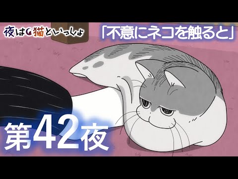 アニメ『夜は猫といっしょ』第42夜「不意にネコを触ると」