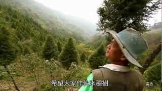 賴桑-賴倍元103年森情大使植樹推廣影片