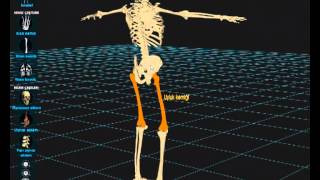 Egitim teknolojileri video