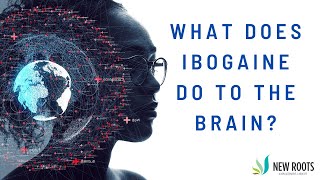 What does ibogaine do to the brain?