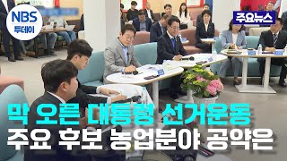 막 오른 대통령 선거운동…주요 후보 농업분야 공약은