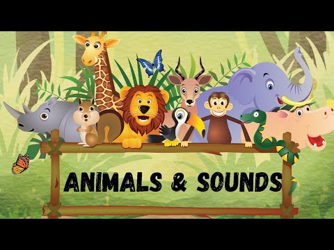 Learning Animal Names & Sounds for Kids | Fun Learning with KidsABC
