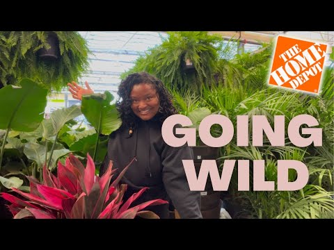 BIG BOX PLANT SHOPPING at Home Depot / Shopping for my Garden