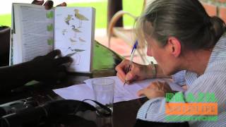 Briding-Wildlife Tours / Brazil Wildlife Expeditions / Pantanal