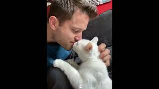 The cat’s response it truly heartwarming