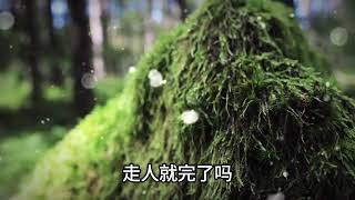 歲老人選擇這樣安樂死，生前留下一句話，「死亡」並不可怕，要爭取走的快一點，值得所有退休人