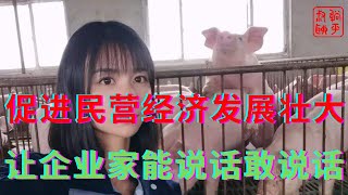 促进民营经济发展壮大||首先要让企业家能说话敢说话||躺平叔聊民营经济