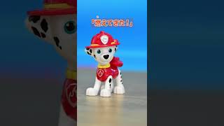 [Paw Patrol] Marshall is on the move! Solves the problem with a bang! | Takara Tomy Official