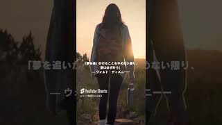 #life #名言 #自己改革 #lifestyle #本音で生きる #マインド #言葉 #幸せ