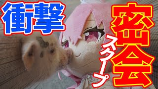 【実写】初ロケで視聴者さんとあんなことやこんなことしてきた！！！！！！！【我部りえる/あおぎり高校】#vlog #癒し動画