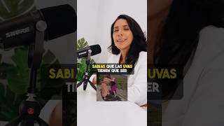 No te rindas #motivacional #frasesinspiradoras #noterindas #motivationalquotes #frasesbonitas