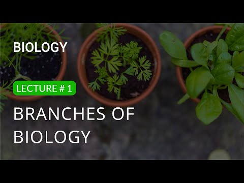 Introduction to Biology and its Branches | 9th Class | Biology Lecture 1