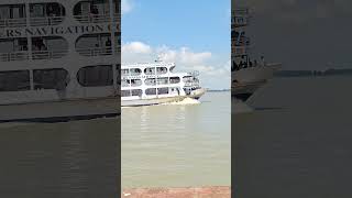 😱 #viralvideo #travel #gangasati #shortmusic #shortvideo #love #shortsongs #song #shortssong #cat