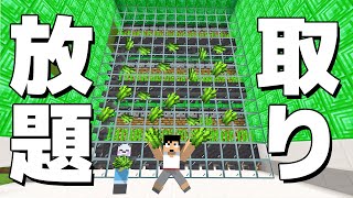 ズボラでも出来る！超簡単なサトウキビ自動収穫機！！PART73【マイクラ.アツクラ】