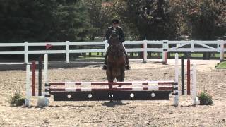 Strider - Third Course plus Jump Off