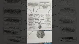 Nationalism in India mind map class 10 SST| #class10boards2023 #class10sst #boards2023