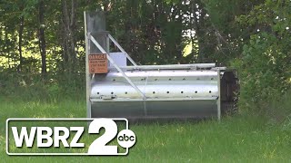 Officials work to catch bear spotted in Baton Rouge with donuts and bear traps