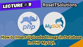 Lecture # 9 How to Insert Uploaded Image in Database in PHP MySQL