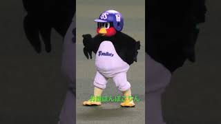 カワイイがすぎる #つば九郎