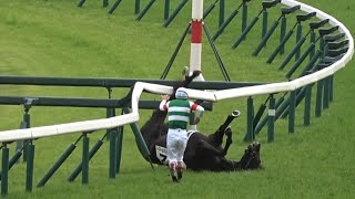 【日本ダービー2023】倒れたスキルヴィングに寄り添うルメール騎手 下馬〜馬運車までの一部始終【現地映像】
