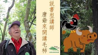 [台灣原生植物解說]唐凱軍老師介紹毛柿與珍貴闊葉五木