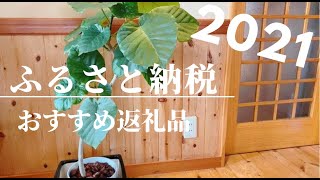 【2021】ふるさと納税おすすめ返礼品 /電気代も貰える/ 楽天 【丸の内妻No.4】