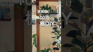 100均DIY 壁に棚作ったよ♡ #観葉植物のある暮らし  #セリア購入品 #インテリア #100均diy