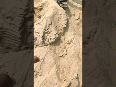 Slow motion video