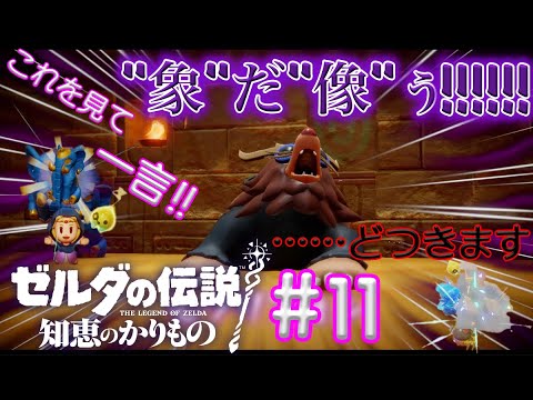 光の力、お借りします！【ゼルダの伝説 知恵のかりもの】#11