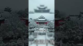 成婚五年，夫君問我【若我帶了私生子回來會怎樣】我摸著早已不能懷孕的小腹，笑道【那便好生栽培，也是後繼有人了】我知他不是說笑，翌日清晨，只留一紙和離書。#故事 #一口氣看完 #古代言情