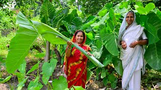 গলা ধরা কচু পাতা রান্নার পদ্ধতি | বুনো কচু শাক রান্না | Kochu Pata Recipe | villfood