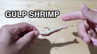 The 3 Best Ways To Rig Gulp Shrimp