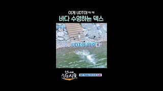 느낌 좋은 덱스 바다 수영 #언니네산지직송