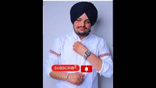 #sidhumoosewala #pollywood #punjab #sidhumoosewalafans #sidhumossewala #diljitdosanjh #moosewala