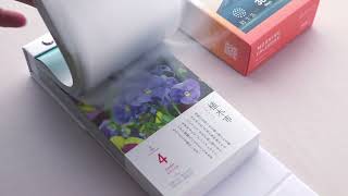 2025年 カレンダー 暦生活 朝の日めくり 卓上