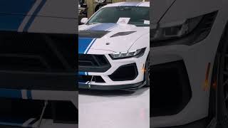 My second Shelby coming in January!! #supersnake #shelby