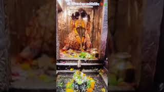@ओम नमः शिवाय ट्रेडिंग स्टेट्स वीडियो #shortvideo  #viralvideo  #ytshort  #bhaktisong