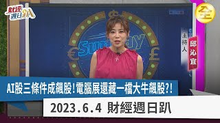 AI股三條件成飆股！電腦展還藏一檔大牛飆股？！電源、散熱必是接下來主流？AI軟硬體系統整合商機更大？投信準備拼作帳？日圓快換？人民幣踏入貶值時代？！ 2023.06.04【財經週日趴 全集】