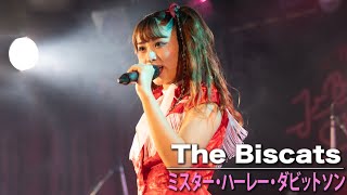 The Biscats「ミスター・ハーレー・ダビットソン」LIVE MOVIE (The Biscats 全国ツアー 2023~2024｢ノッてけ!J-BOP SUMMER｣より)