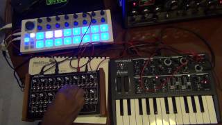 Arturia's Beatstep & MicroBrute