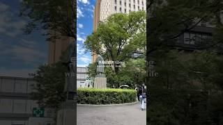 a waseda university day in my life :) #vlog #waseda #japan #university #univlog #大学生の日常 #大学生 #早稲田