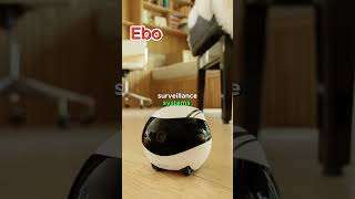 Fun facts on Ebo Air and Ebo SE #robot #ai #robotics #usa #shorts #airobot #trending #funny #video