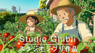 【No ads】Hayao Miyazaki Piano Music Collection 2025 - Best Relaxing Music🎼 Studio Ghibli OST