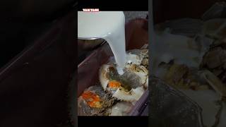 생크림 게장 담가 먹기🥛+🦀