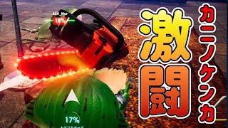 【神ゲー】カニ同士の”ガチ”バトル・・・見たくない？【カニノケンカ】