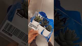 Ikea Shopping Haul: Must-Have Kitchen Finds! #ikeahaul #ikeashopping