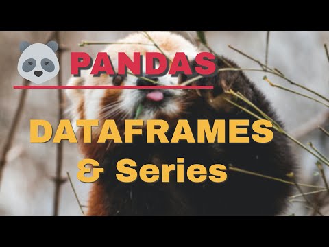 pandas dataframe tutorial | pandas in python for beginners
