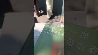 5月的某个午后,去上课路上。天气晴朗,阳光明媚。#读书 #文学