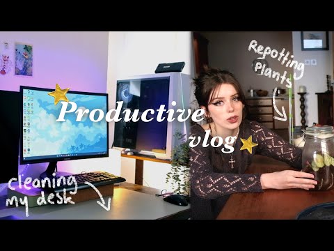Productive days | 🖥 cleaning my desk, 🌱 plant repotting, fun with friends
