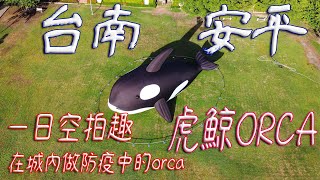 虎鯨ORCA【空拍 + 攝影】台南 安平 一日空拍趣 城裡出現大虎鯨ORCA(億載金城)  #發仔旅行攝 #dji mavic mini